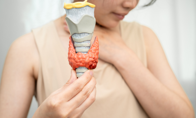 Untitled design - 2025-12-03T014426.505