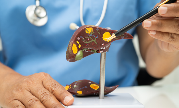 Untitled design - 2025-12-03T022651.020